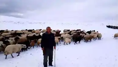 Doğu Anadolu'da Şiddetli Kar Yağışı