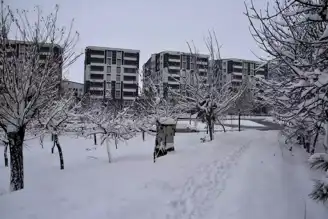 Bitlis'te Yollar Kapandı: 165 Köy Ulaşımdan Kesildi