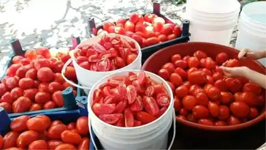 Bitlis'te Kadınlar İçin Kırsal Kalkınma Projesi