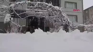 Doğu Anadolu'da Yoğun Kar Yağışı: 84 Köy Yolu Kapandı