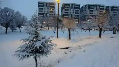 Bitlis'te Yoğun Kar Yağışı