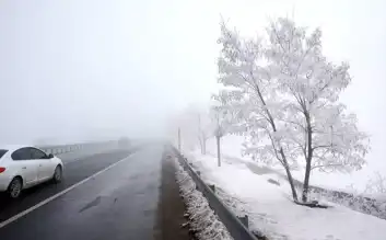 Bitlis'te Sis ve Soğuk: Yaşam Olumsuz Etkilendi