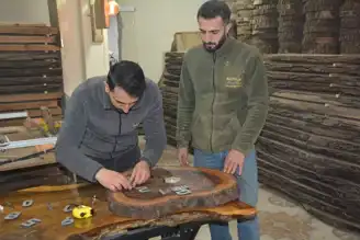 Geri Dönüşümden Ekonomi: Ceviz Ağacı Mucizesi
