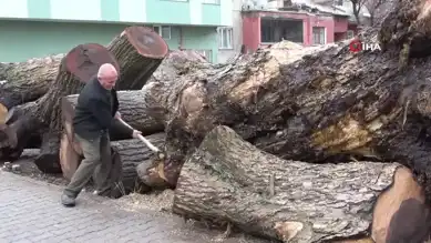 Asırlık Cevizlerden Sanat Eserleri