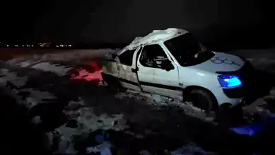Adilcevaz'da Domuz Sürüsü Kazası: 3 Yaralı
