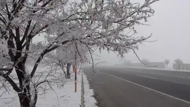 Doğu Anadolu'da Şiddetli Soğuk: -13.8 Derece