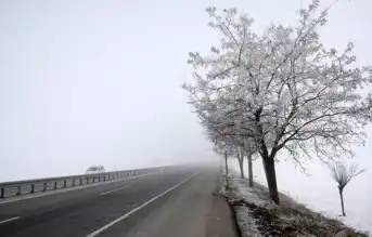 Doğu Anadolu'da Soğuk ve Sis Uyarısı