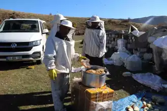 Hizan'da Karakovan Bal Hasadı