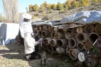 Doğal Karakovan Balı Dünya Pazarında Yerini Alıyor