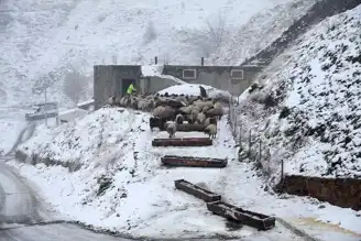 Doğu Anadolu'da Yollar Kapandı