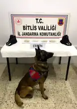 Tatvan'da Ayakkabı Tabanında 500 Gram Eroin!