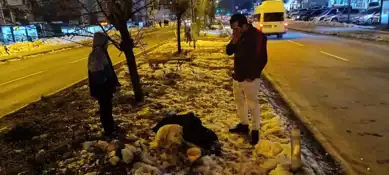 Yaralının Yanında Bir Kahraman: Köpeğe Şefkat Eli