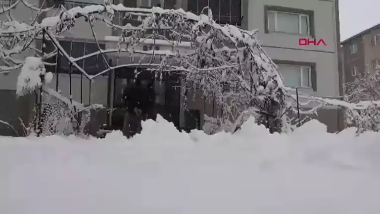 Doğu Anadolu'da Yoğun Kar Yağışı: 84 Köy Yolu Kapandı