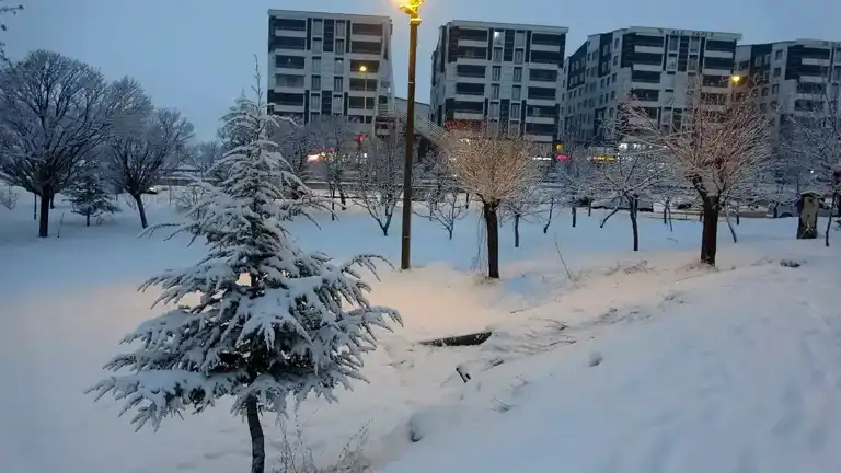 Bitlis'te Yoğun Kar Yağışı