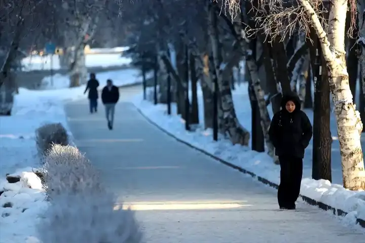 Bitlis'te Sis ve Kırağı: Yollar Zor Geçiliyor