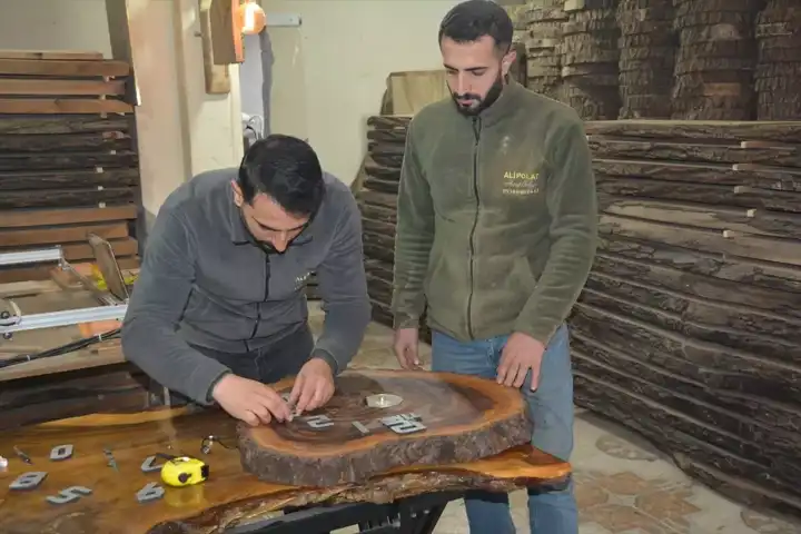 Geri Dönüşümden Ekonomi: Ceviz Ağacı Mucizesi