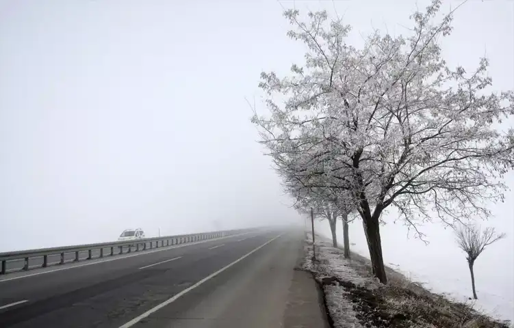 Doğu Anadolu'da Soğuk ve Sis Uyarısı